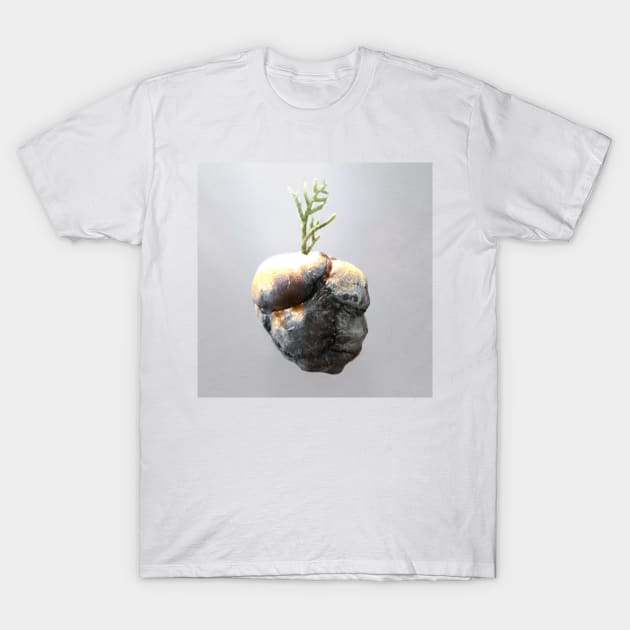 Earthling T-Shirt by aeolia